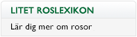 Litet Roslexikon